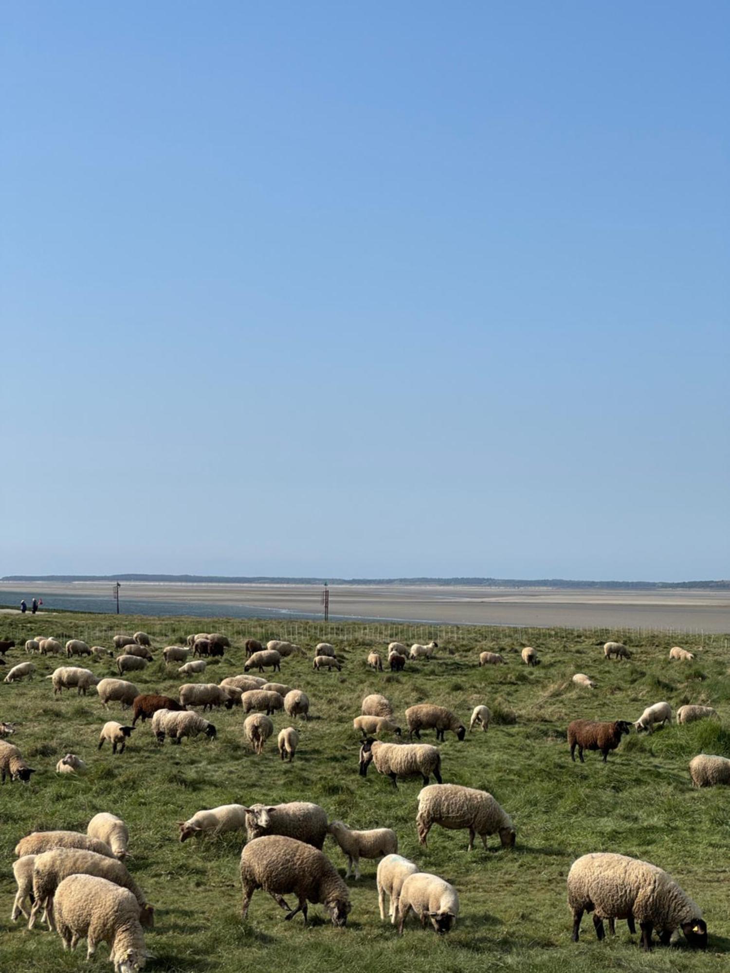 Gite Du Flot - Baie De Somme Boismont  Kültér fotó